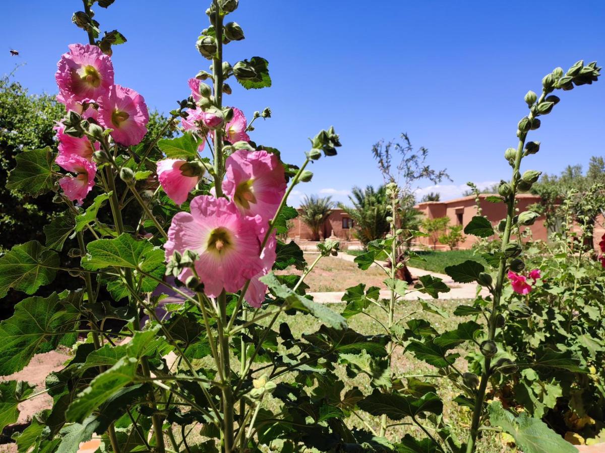 Maison D'Hotes Tigminou - Adults Only Ait Benhaddou Exterior foto